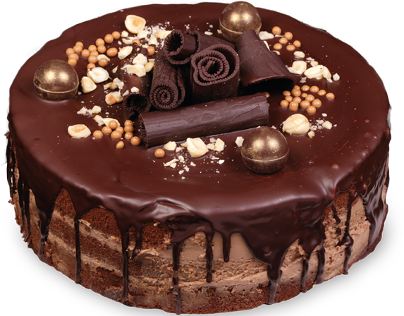 Dortová kolekce 2025/2026