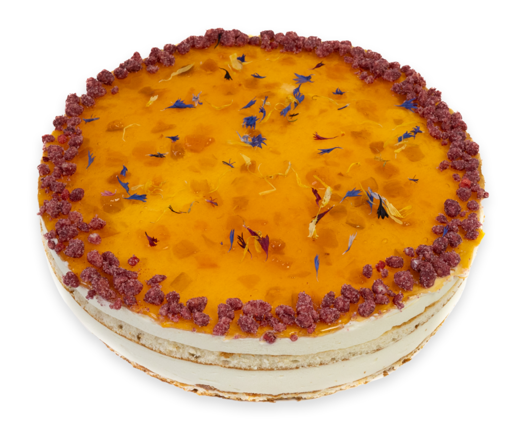 Dort meruňkový s jogurtem